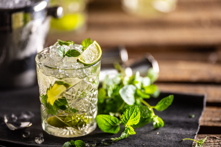 Simple Mocktail Recipes - Mojito